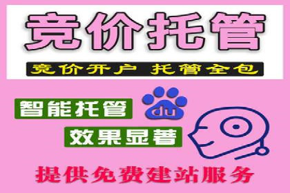 专业SEM托管：成功提升广告效果的案例分析